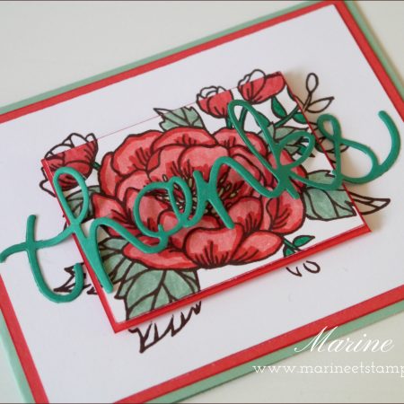 StampinUp – Marine Wiplier – Cartes022