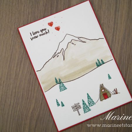 StampinUp – Marine Wiplier – Cartes028-2