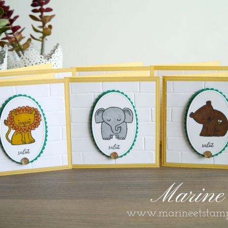 StampinUp – Marine Wiplier – Cartes058