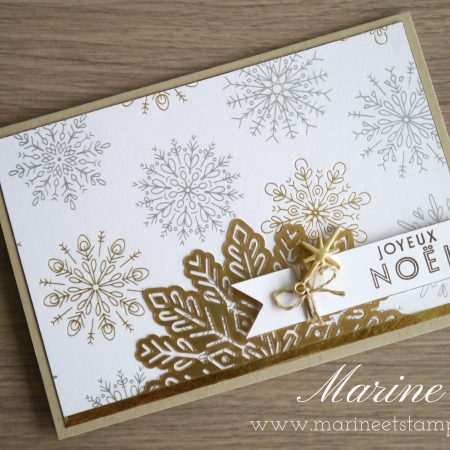 StampinUp – Marine Wiplier – Cartes059-2