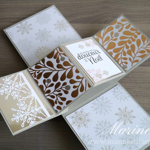 StampinUp – Marine Wiplier – Cartes061-3